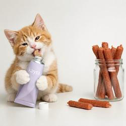 بهترین انتخاب برای آموزش و ارتباط بهتر با گربه
